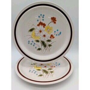 Vtg Four Seasons Collection Early Summer Dinner Plates Set Of 2 Floral Fall